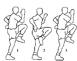 diagram of jumping