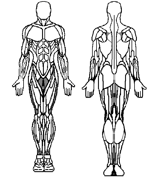 WEIGHT TRAINING ZONE THEORY